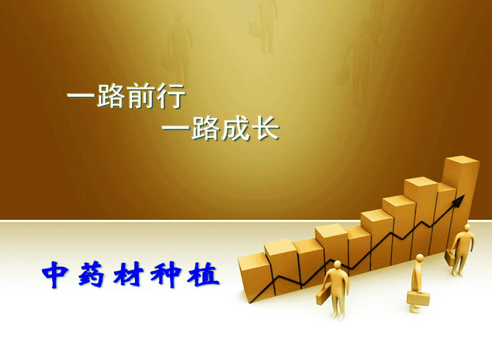 朱铁辉——自述野生中药材种苗培植心路历程